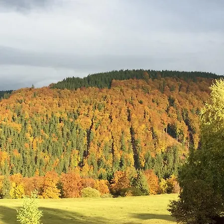 Ferienwohnungen Gehlberg Appartement Gehlberg