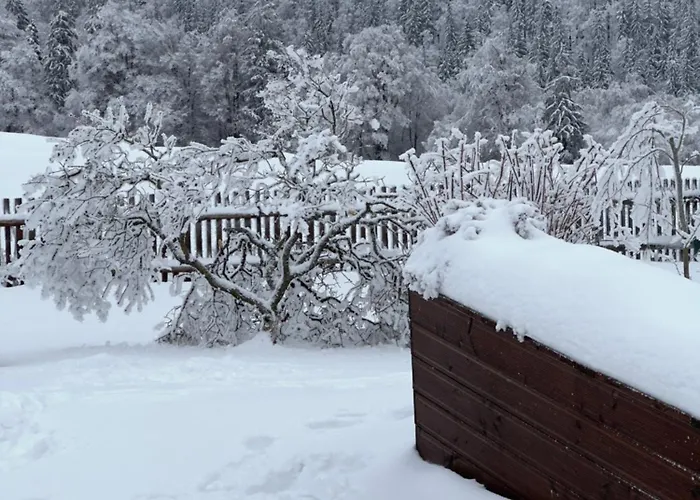 Appartement Gabelbachskopf *