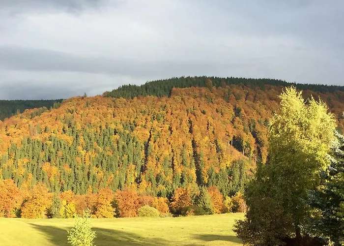 Gabelbachskopf Appartement Gehlberg